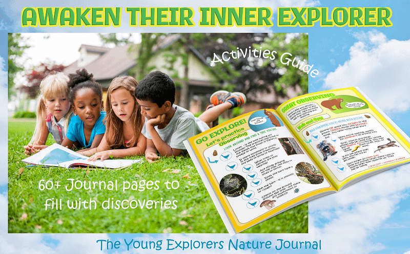 Young children outside reading Young Explorer Journal by Stephen Nett
