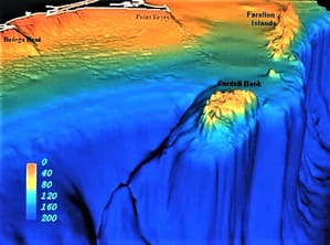 Underwater topography showing miles deep canyon and Cordell Bank