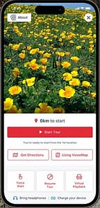 voicemap phone