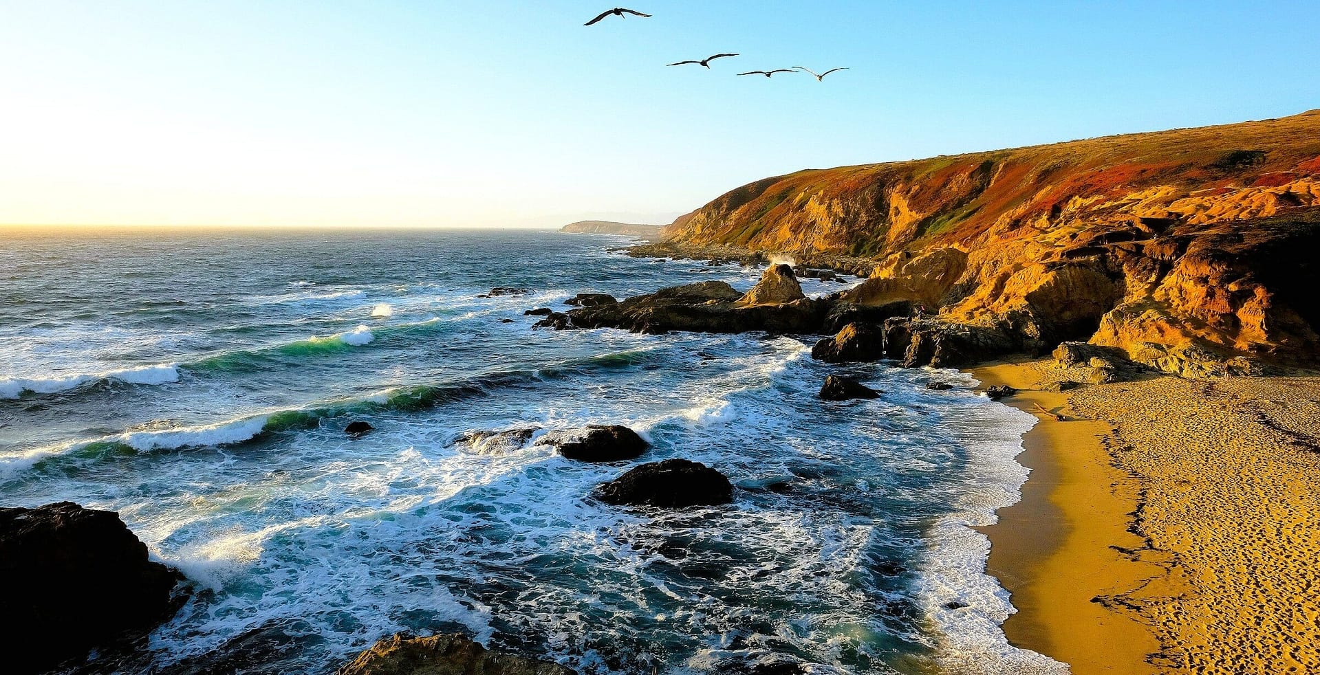 Bodega Head at Bodega Bay with California surf on a rugged coast with cliffs near sunset with ocean birds flying overhead in a blue sky.