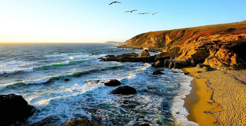 Bodega Head at Bodega Bay with California surf on a rugged coast with cliffs near sunset with ocean birds flying overhead in a blue sky.