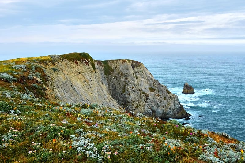 Bodega Head seascape with granite cliffs and views of Pacific surf.