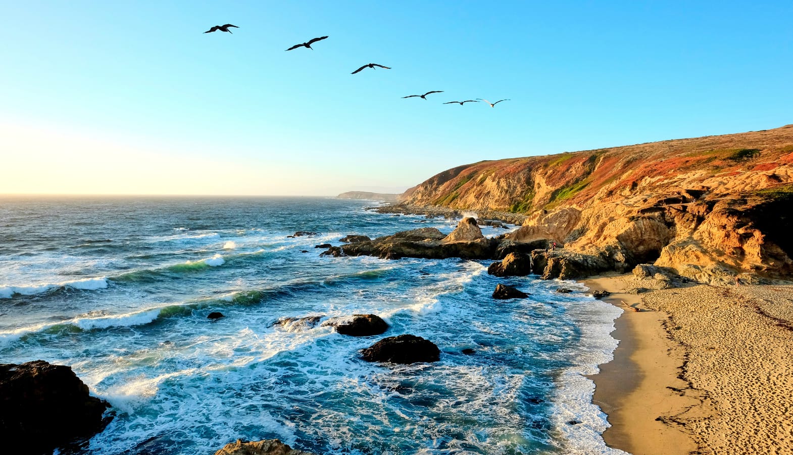 Vast seascape of the Pacific ocean surf along the Sonoma Coast of California with pelicans flying overhead.