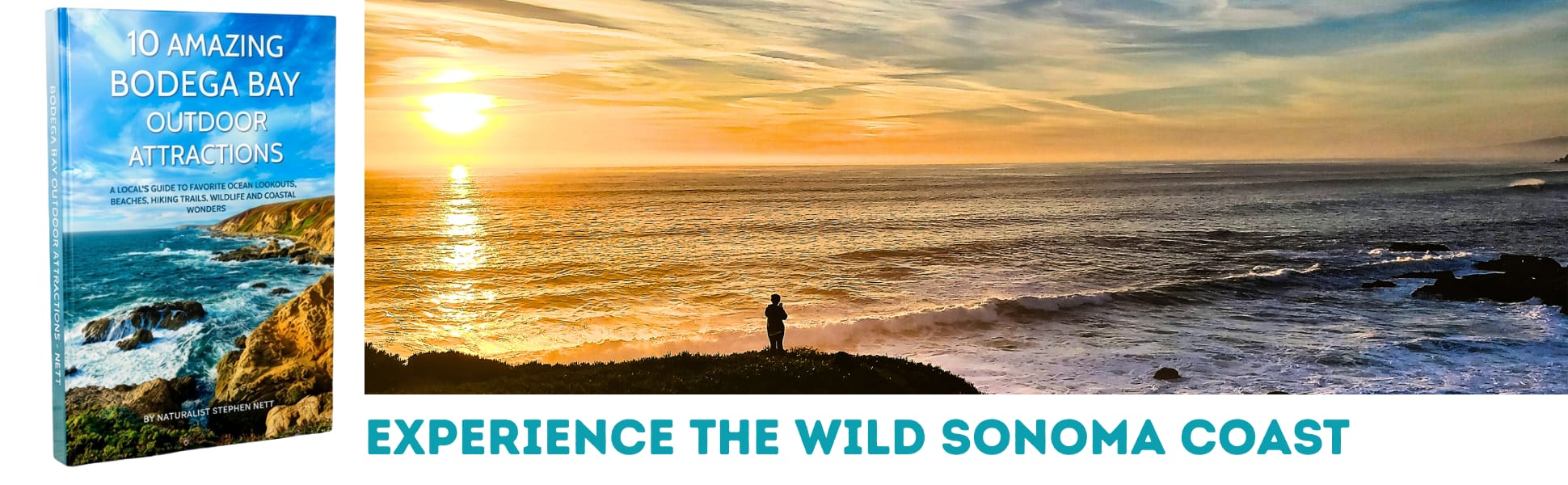 Wide view of waves breaking offshore in warm sunset glow, with a person standing on the Sonoma Coast bluff on the California Pacific Coast along Highway One.