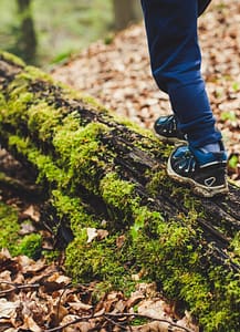 vert crop markus spiske YNSrQa t3Y4 unsplash