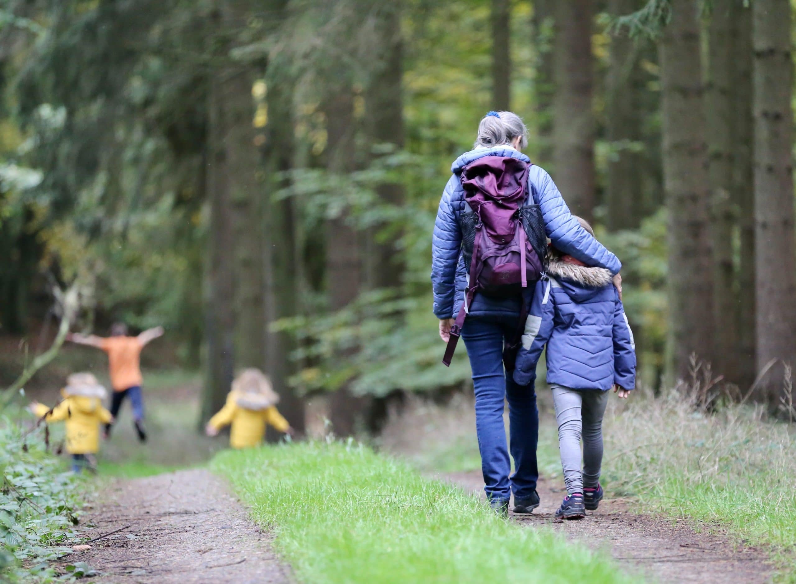 Family taking a nature walk on a trail in the forest, with happy children running ahead.
