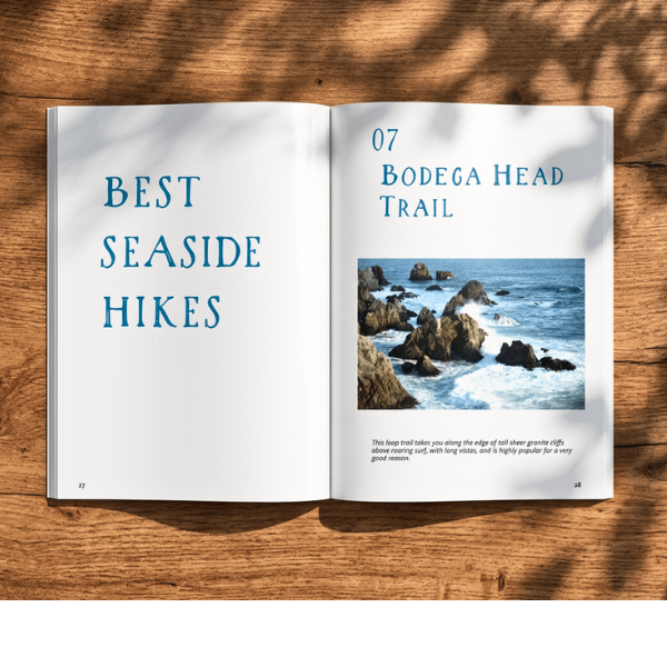 Naturalist Stephen Nett's colorful guide to best things to do near Bodega Bay California.