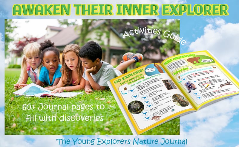 Explorers Journal Example Young Explorers Nature Journal » FINDING CALIFORNIA