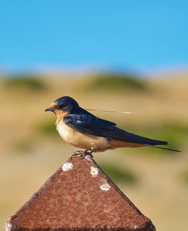 DSCF8661 1