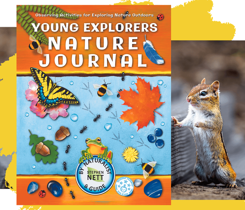 Image of activity book and nature journal by Stephen Nett, with cute chipmonk.