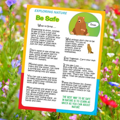 Colorfully illustrated pages on senses from the children's book Young Explorers Nature Journal by naturalist Stephen Nett