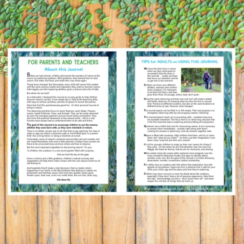 Colorfully illustrated pages on senses from the children's book Young Explorers Nature Journal by naturalist Stephen Nett