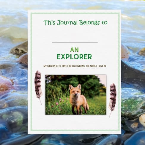 Colorfully illustrated pages on senses from the children's book Young Explorers Nature Journal by naturalist Stephen Nett