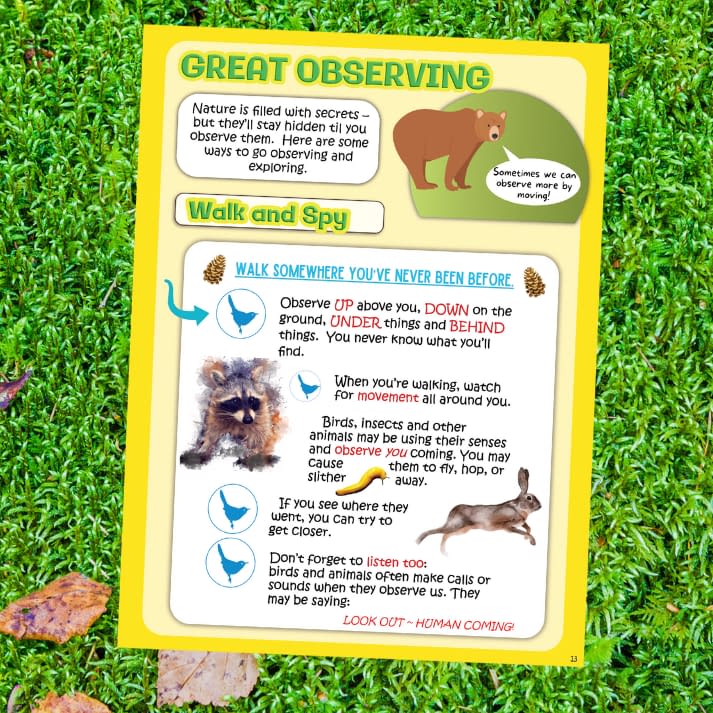 Colorfully illustrated pages on senses from the children's book Young Explorers Nature Journal by naturalist Stephen Nett.