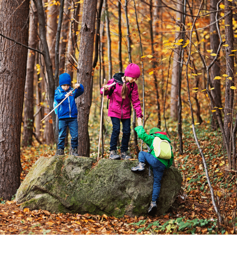 Children playing in the forest with colorful fall leaves, climbing a rock together.