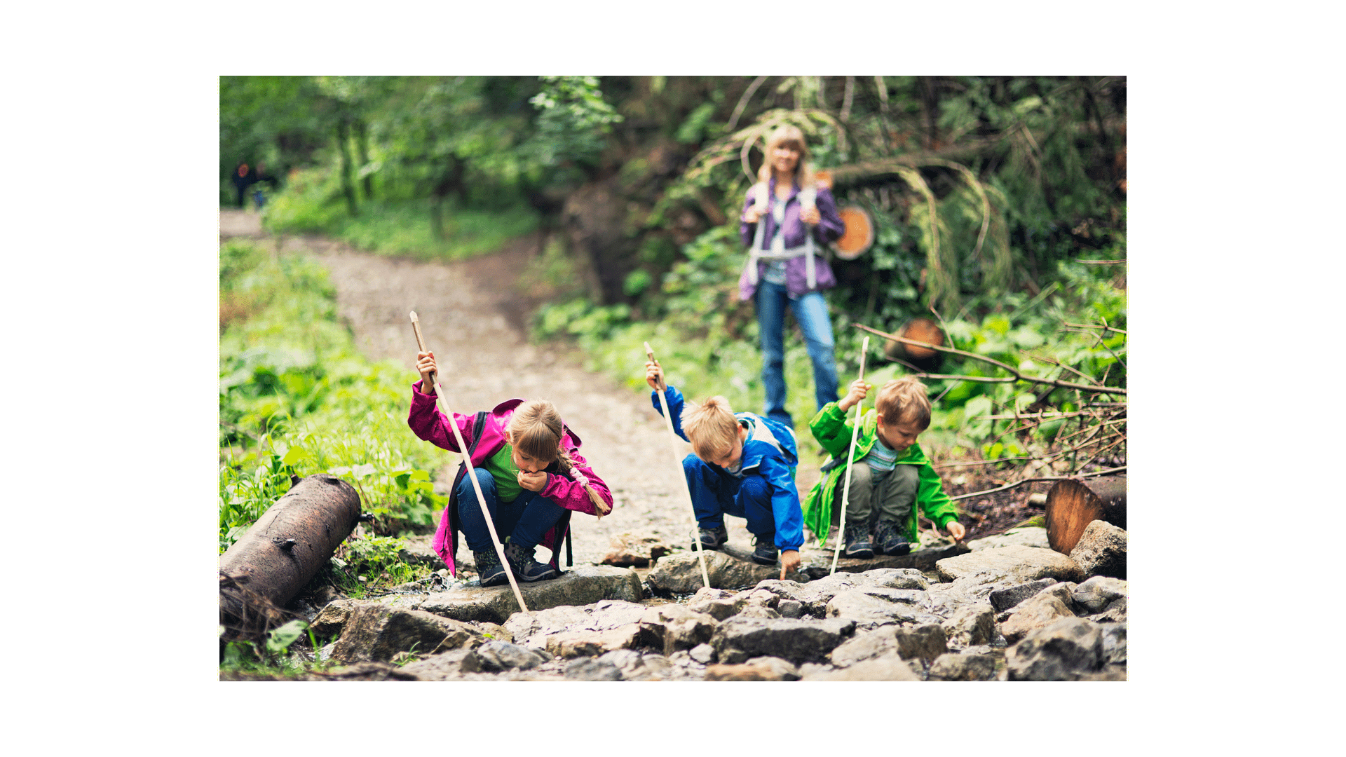 Young Explorer Journal Young Explorers Discovering Nature Ideas for
